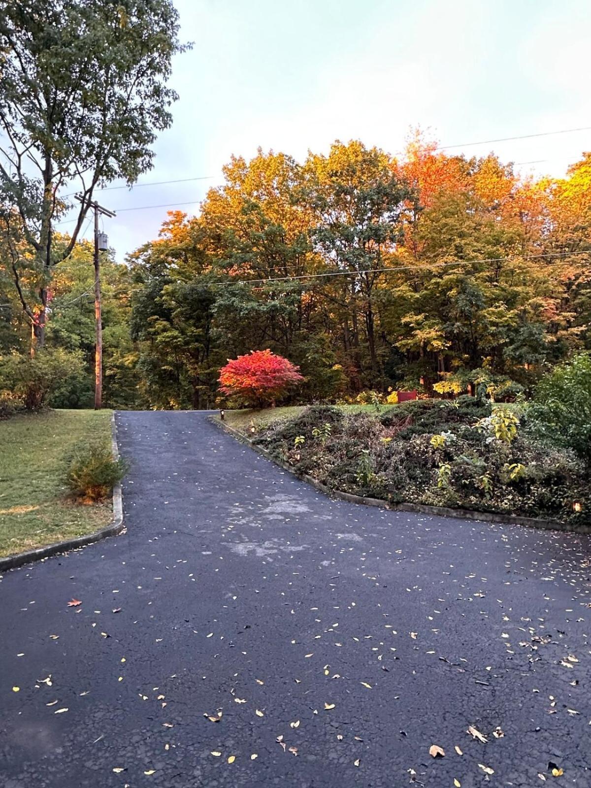 Cayuga Lake Cottage With Private Lake Access Washingtonville ภายนอก รูปภาพ